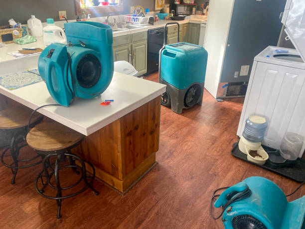 Best Water damage restoration services  in Sylvania, AL