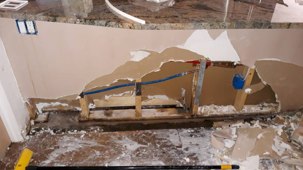  Sylvania, AL Water damage restoration Pros