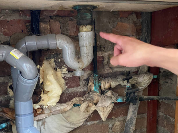 Best Sewage cleanup and water damage restoration  in Sylvania, AL