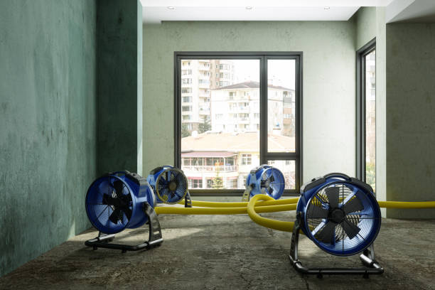 Best Residential water damage restoration  in Sylvania, AL